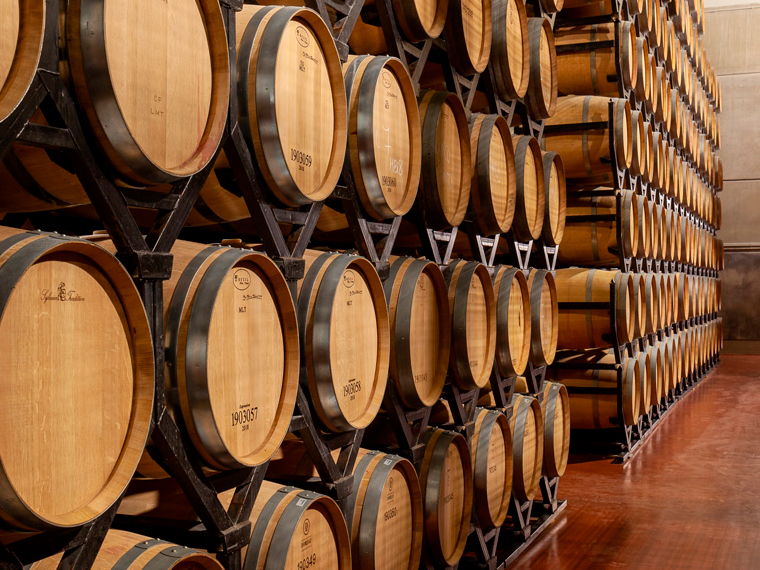 2x1 en la visita a Bodegas Martín Berdugo