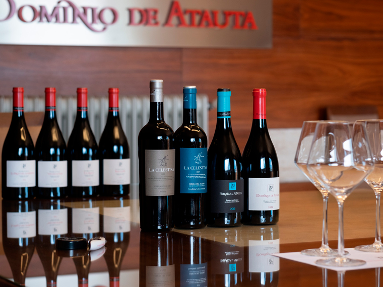Visita Dominio de Atauta