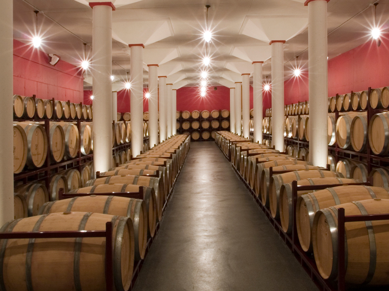 Visita a Bodegas Carmelo Rodero