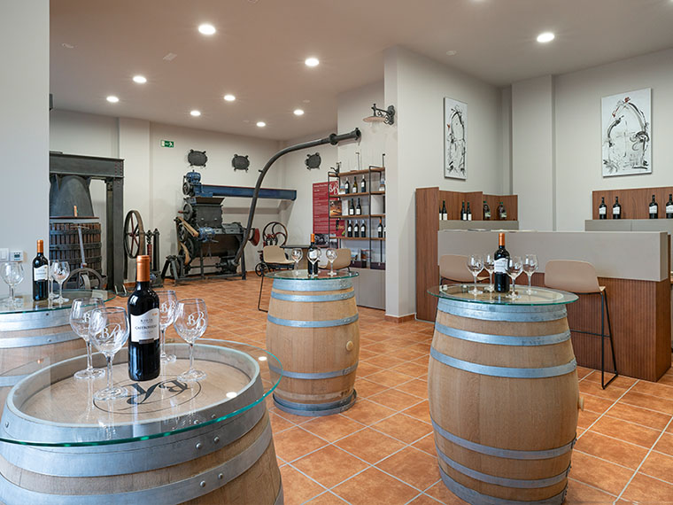 Visita a Bodegas Pastor Díaz
