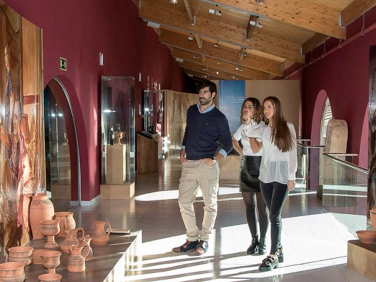 Disfruta de la cultura del vino en plena milla de oro de la Ribera del Duero de la mano de Emina