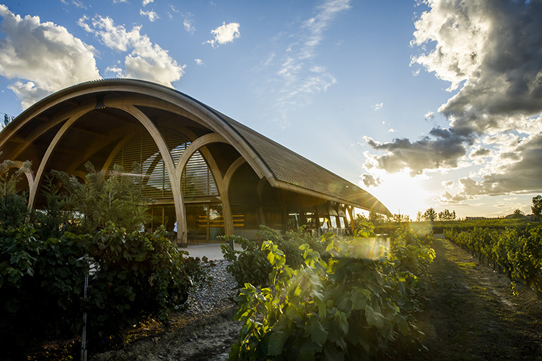 Bodegas Faustino