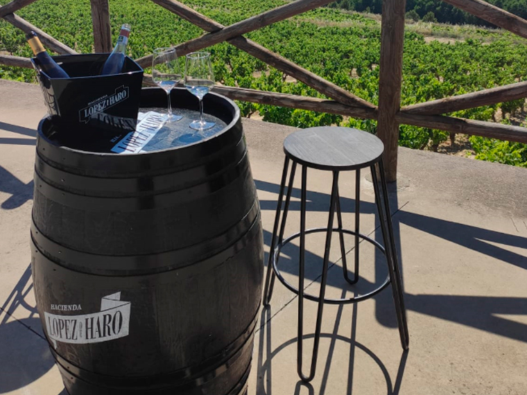 Visita a Hacienda López de Haro