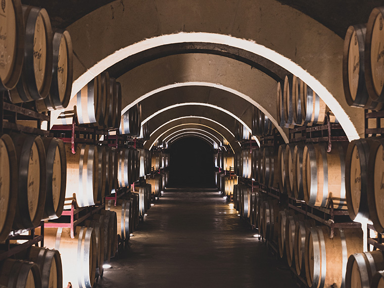 Visita Bodegas Luzón