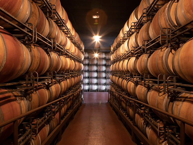 Visita Bodegas Marqués de Cáceres