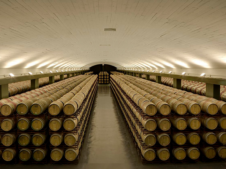 Visita Bodegas Montecillo