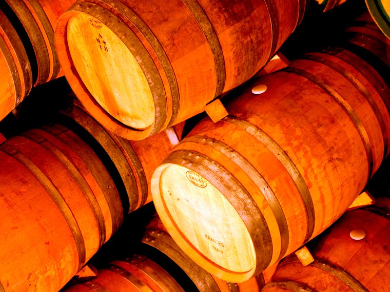 Visita a Bodegas Castaño