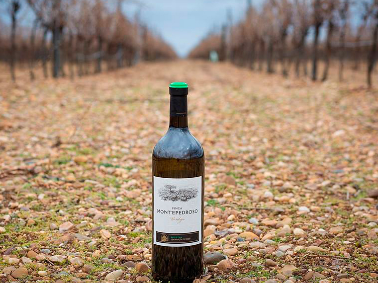 Descubre el auténtico verdejo en Finca Montepedroso