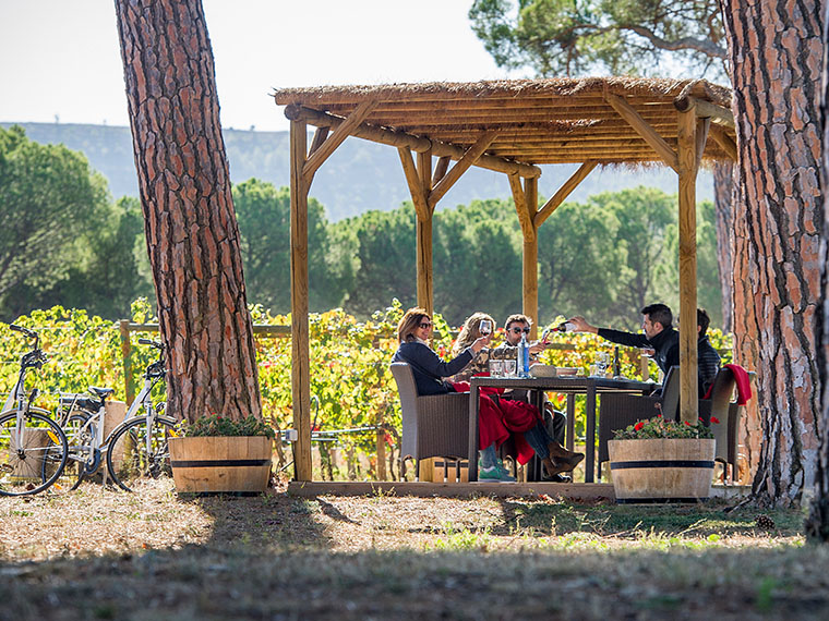Visita a Bodegas Izadi
