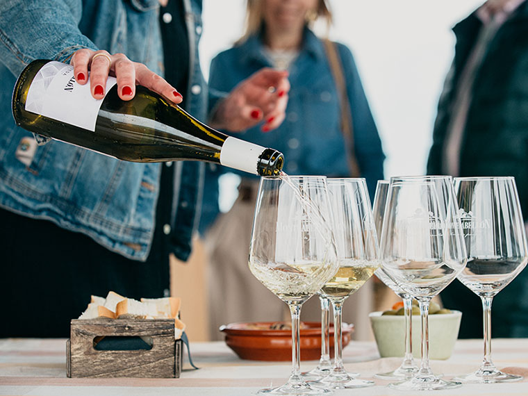 Vive la magia de Ribera del Duero de la mano de Bodegas Monteabellón