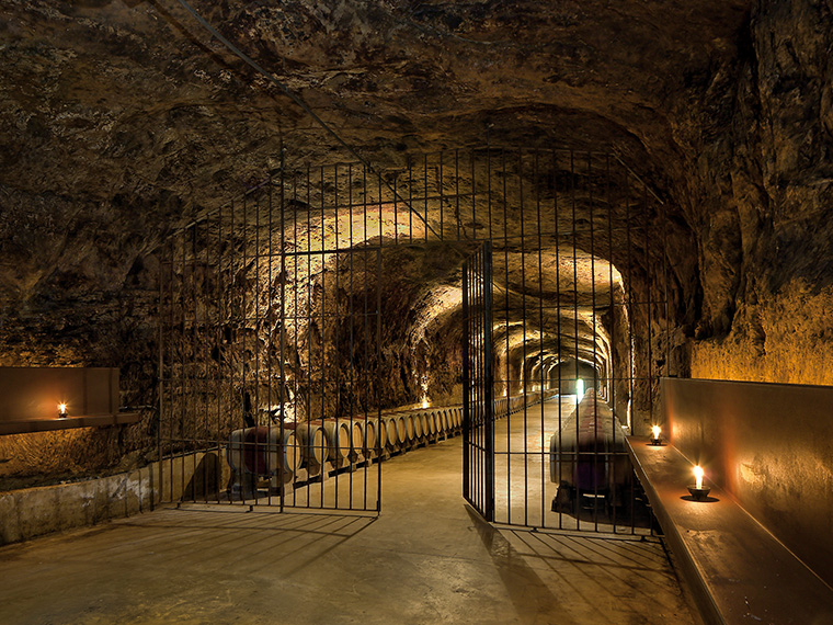Visita Bodegas Roda