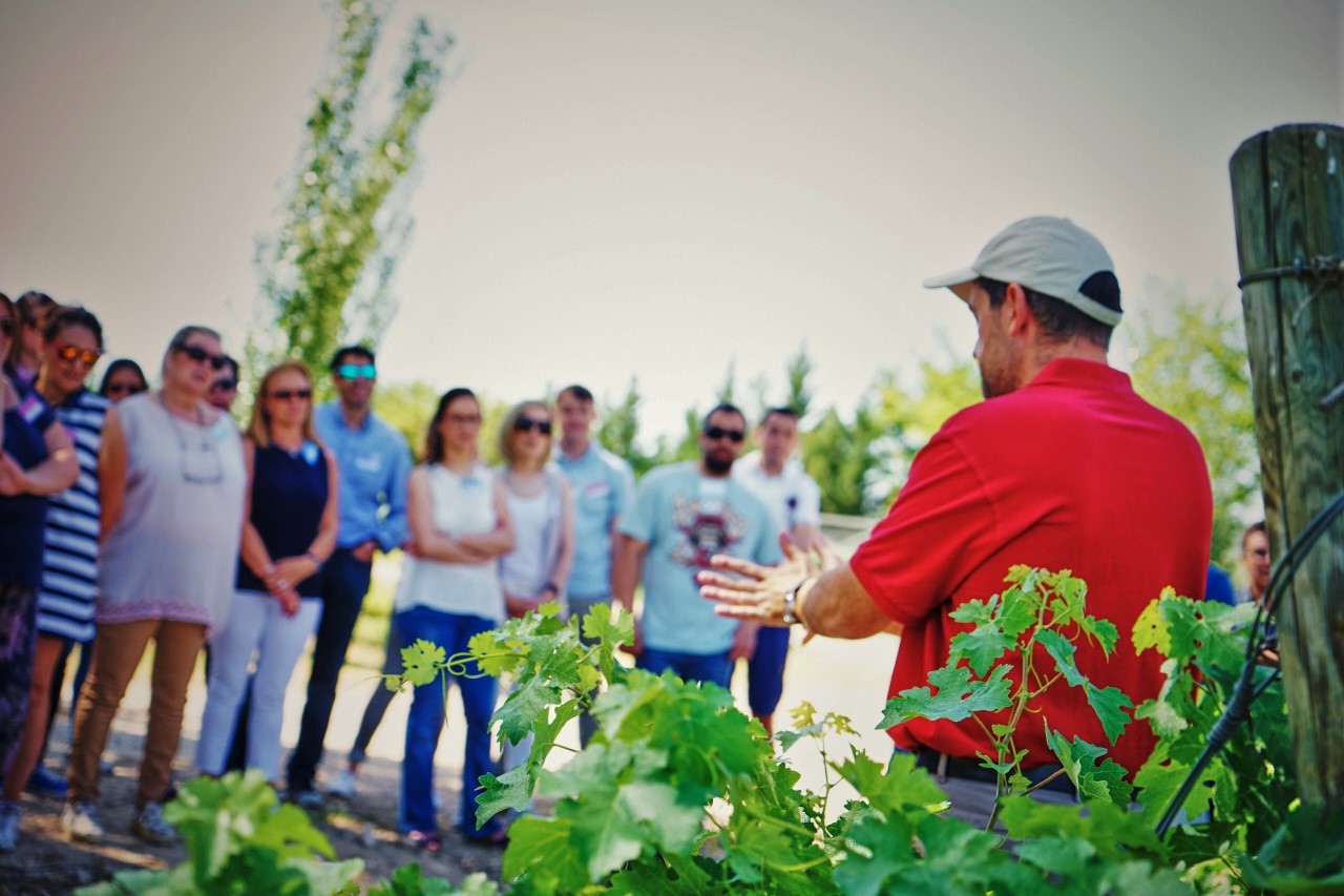 Visita a Bodegas Y Viñedos Casa Del Valle
