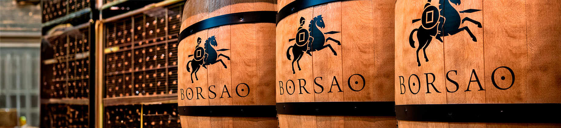 Visita a Bodegas Borsao