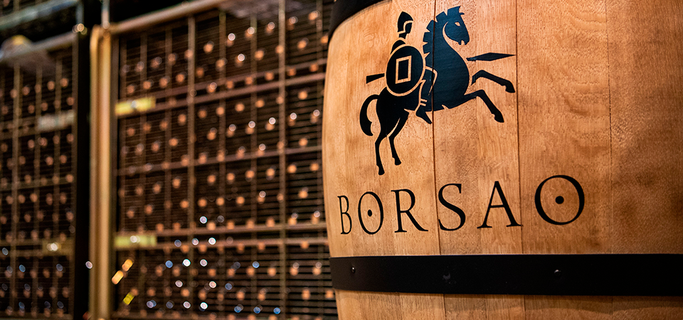 Visita a Bodegas Borsao